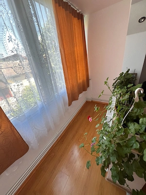 De Vanzare Apartament 2 Camere Caransebes - imagine 6