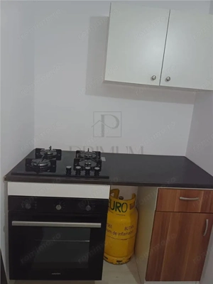 STEAUA - APARTAMENT CU 1 CAMERA - mobilat, utilat, decomandat - imagine 4