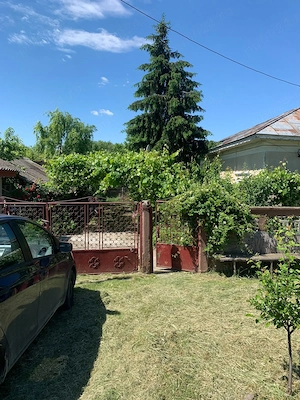 vand casa+teren comuna nana jud calarasi-1900 mp - imagine 10