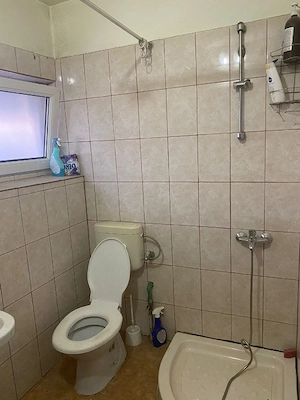 Casă mare-individuală in Centru, Cenei - imagine 5