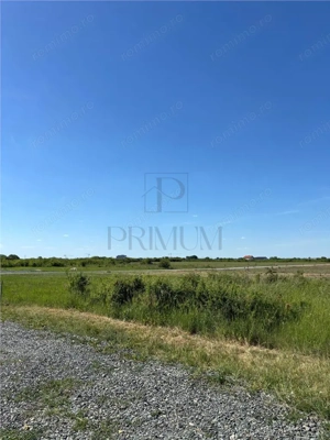2 Terenuri- MOSNITA VECHE- 675 mp - imagine 3