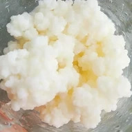 Chefir Kefir ( Ciuperca de lapte)