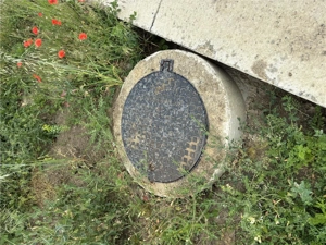 Teren- Mosnita Noua- Toate utilitatile+ strada betonata - imagine 3