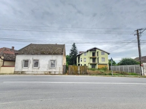 Vand casa mare și teren mare în Peciu Nou - imagine 2