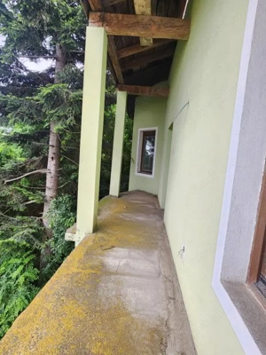 Vand casa mare și teren mare în Peciu Nou - imagine 4