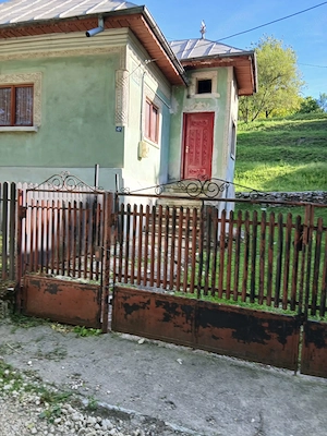 Proprietate cu 2 case și teren 1.596 mp în Câmpulung Muscel, Valea Romanestilor - imagine 2