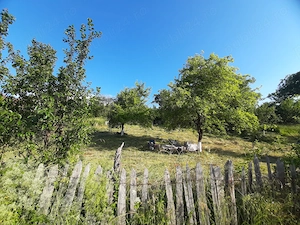  420mp sau 830mp in Ținutul Pădurenilor , partea de sud-vest a jud. Hunedoara. - imagine 3