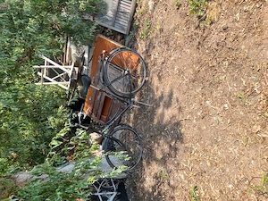 Bicicleta  olandeză  ieftenică 