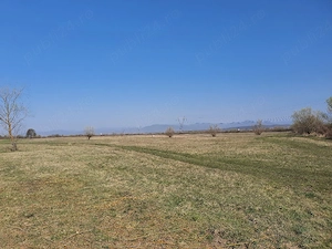 Teren intravilan 4700m2 Culcea periferie, Com. Sacalaseni - parcelabil