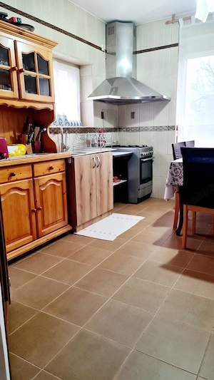 Vilă premium 7 cam. Sector 3, Sălăjan - Nicolae Grigorescu, teren 508mp, metrou 10 min. - imagine 7