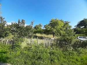  420mp sau 830mp in Ținutul Pădurenilor , partea de sud-vest a jud. Hunedoara. - imagine 4