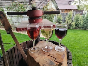 Vin natural alb si roze producator mic