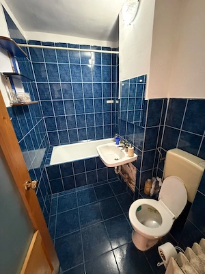 Garsoniera de închiriat in Nufaru  - imagine 4