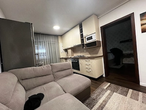 ofer spre inchiriere studio, Sinpetru -Subcetate, Drumul cu Plopi. - imagine 3
