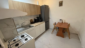 Apartament cu 2 camere, parter, zona Iosefin - imagine 7
