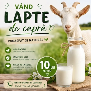 Lapte de capra 