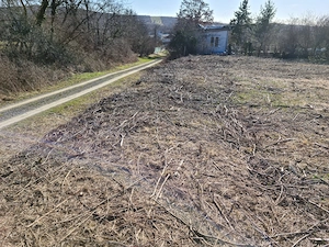teren viile satu mare front 16m , intravilan bonus stalpi pt imprejmuire