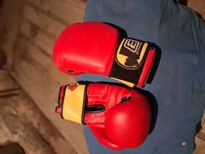 Mănuși de box..
