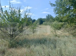 Casă de vacanță, 5 camere 100 mp utili, 3400 mp teren, zona Leamna - imagine 18
