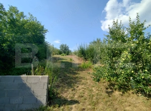 Casă de vacanță, 5 camere 100 mp utili, 3400 mp teren, zona Leamna - imagine 7