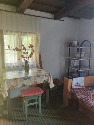 Vand casa Valea Lunga, Ilia - imagine 3