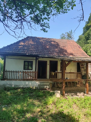 Vand casa Valea Lunga, Ilia - imagine 4