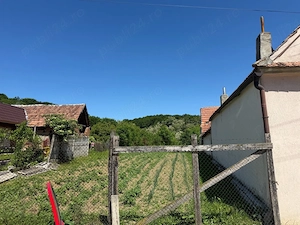 Vand teren Bradu