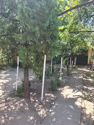 Vand casa in comuna Poiana Mare,Jud.Dolj - imagine 5