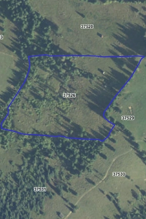 Teren în județul Suceava, comuna Pojorâta   zona Valea Străjerilor - imagine 4