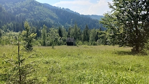 Teren în județul Suceava, comuna Pojorâta   zona Valea Străjerilor - imagine 2