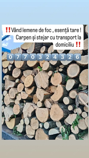 Vând lemne de foc 