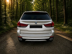 Vand BMW X5 F15 - imagine 2