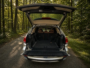 Vand BMW X5 F15 - imagine 5