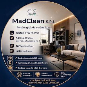Servicii profesionale de curatenie 