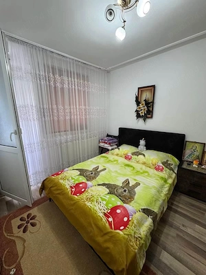 De vanzare apartament cu 2 camere și balcon, zona Cresei Pret 50000euro - imagine 5
