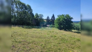 Teren 7200 mp, casa veche, apa, curent 35 km de Cluj Napoca, Topa Mica - imagine 8