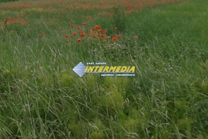 Teren intravilan  600 mp  - 1800 mp zona Valea Popi