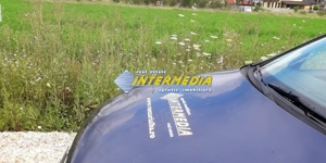 Teren intravilan de vanzare in zona Oarda 2320 mp 