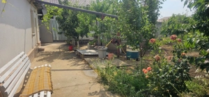 Casa la sol cu teren 1055 mp si livada - Vanatori, Galati - imagine 6