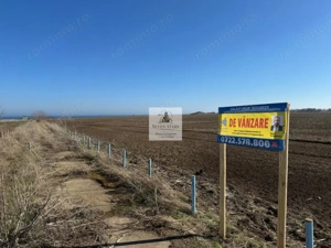 Teren intravilan 47.400 mp, Vama Veche, 200 m de Marea Neagra - imagine 14