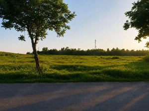 Vânzare teren intravilan – 9.500 mp, DN26 -Padurea Garboavele, Tulucesti - imagine 2
