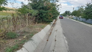Vând 2,5 Ha teren agricol + 2 Terenuri intravilane in centru Loc Suhurlui Galați  - imagine 9