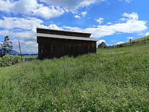 Se vinde casa cu tot cu pământ în poiana stampei sat andrieni 5285 m pătrați  - imagine 6