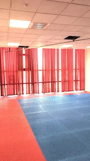 Inchiriez intervale orare pentru arte martiale,yoga,aerobic,gimnastica,etc - imagine 2