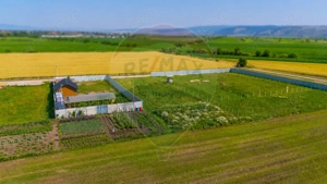 Teren intravilan cu CU-BOD- ZONA CISMASU- 1,020mp / Strada Iasomiei - imagine 5