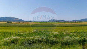 Teren intravilan cu CU-BOD- ZONA CISMASU- 1,020mp / Strada Iasomiei - imagine 11