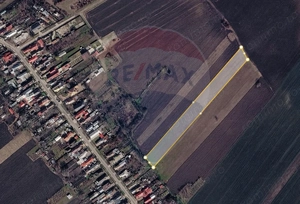 Teren agricol EXTRAVILAN - 8166 mp, Ghighiu — acces DN1A si A3 - imagine 4