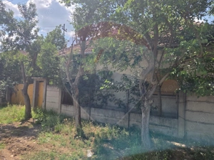 Casă cu gradina mare in Boiu - imagine 3