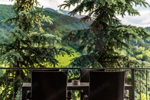 Casa de inchiriat cu panorama spectaculoasa si finisaje premium - imagine 10