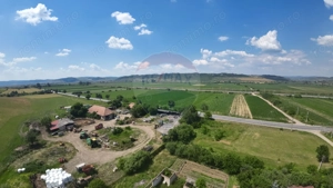 Oportunitate de investiție – Teren intravilan 22.942 mp, Vânători - imagine 4
